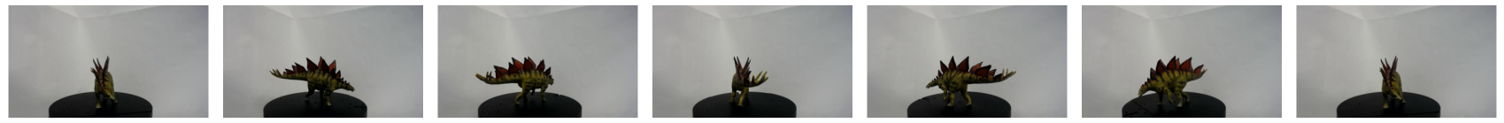 Stegosaurus Rotation